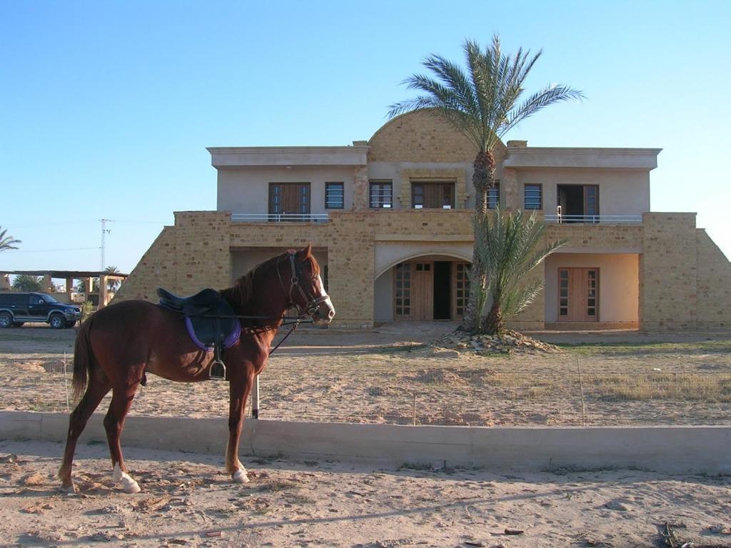 Hotel Bella Djerba Houmt Souk  Esterno foto